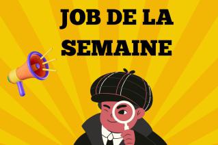 JOB DE LA SEMAINE (SERIGRAPHIE)